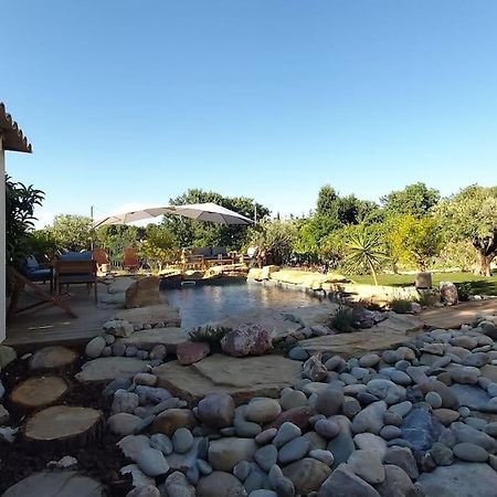 Une Oasis Au Pays De Cezanne Aix-en-Provence Luaran gambar
