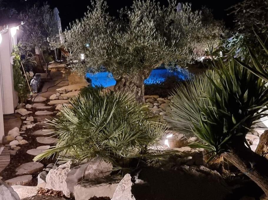 Une Oasis Au Pays De Cezanne Aix-en-Provence Luaran gambar