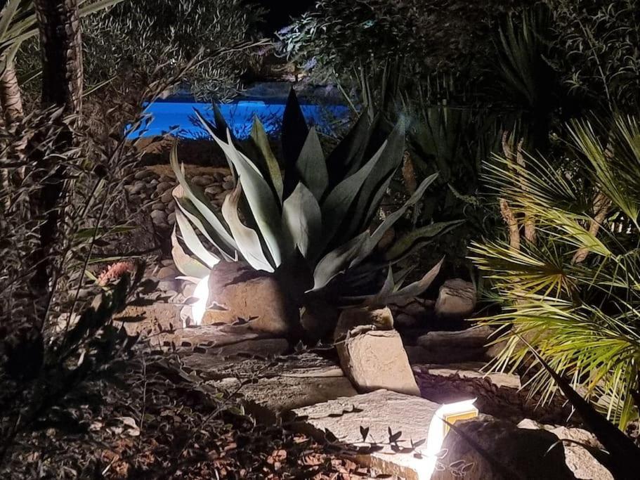Une Oasis Au Pays De Cezanne Aix-en-Provence Luaran gambar